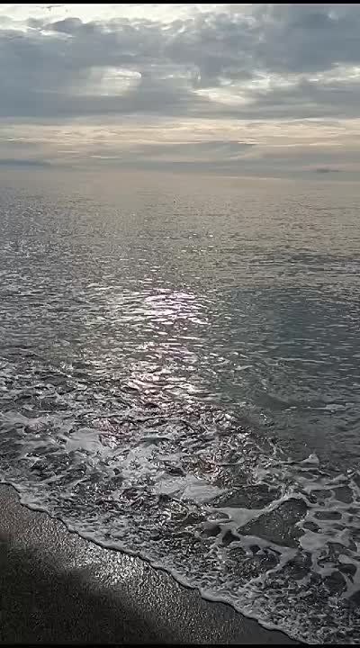    ,        ,       