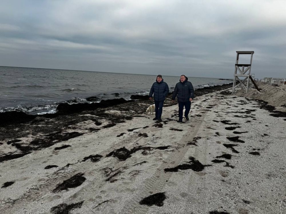 В рамках деятельности координационной группы по содействию ликвидации последствий разлива нефтепродуктов в акватории Чёрного моря, созданной по поручению Председателя Государственного Совета Республики Крым Владимира... В рамках деятельности координационной группы по содействию ликвидации последствий разлива нефтепродуктов в акватории Чёрного моря, созданной по поручению Председателя Государственного Совета Республики Крым Владимира...