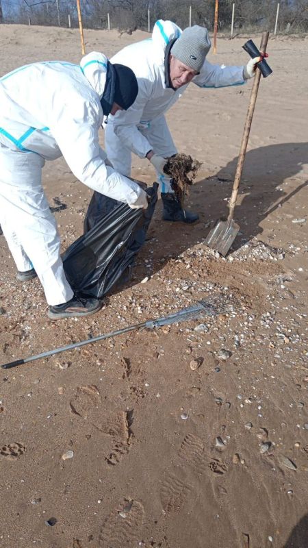 #городские_новости. Мониторинговые группы продолжают работу по выявлению мест загрязнения нефтепродуктами. По состоянию на сегодняшний день работы по уборке береговой линии на участке в районе Аршинцево (Нимфейская дорога)... #городские_новости. Мониторинговые группы продолжают работу по выявлению мест загрязнения нефтепродуктами. По состоянию на сегодняшний день работы по уборке береговой линии на участке в районе Аршинцево (Нимфейская дорога)...