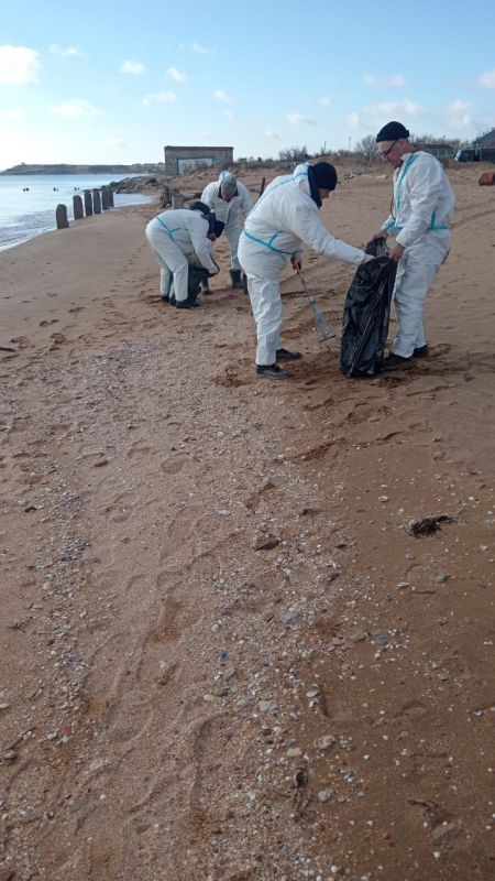 #городские_новости. Мониторинговые группы продолжают работу по выявлению мест загрязнения нефтепродуктами. По состоянию на сегодняшний день работы по уборке береговой линии на участке в районе Аршинцево (Нимфейская дорога)... #городские_новости. Мониторинговые группы продолжают работу по выявлению мест загрязнения нефтепродуктами. По состоянию на сегодняшний день работы по уборке береговой линии на участке в районе Аршинцево (Нимфейская дорога)...