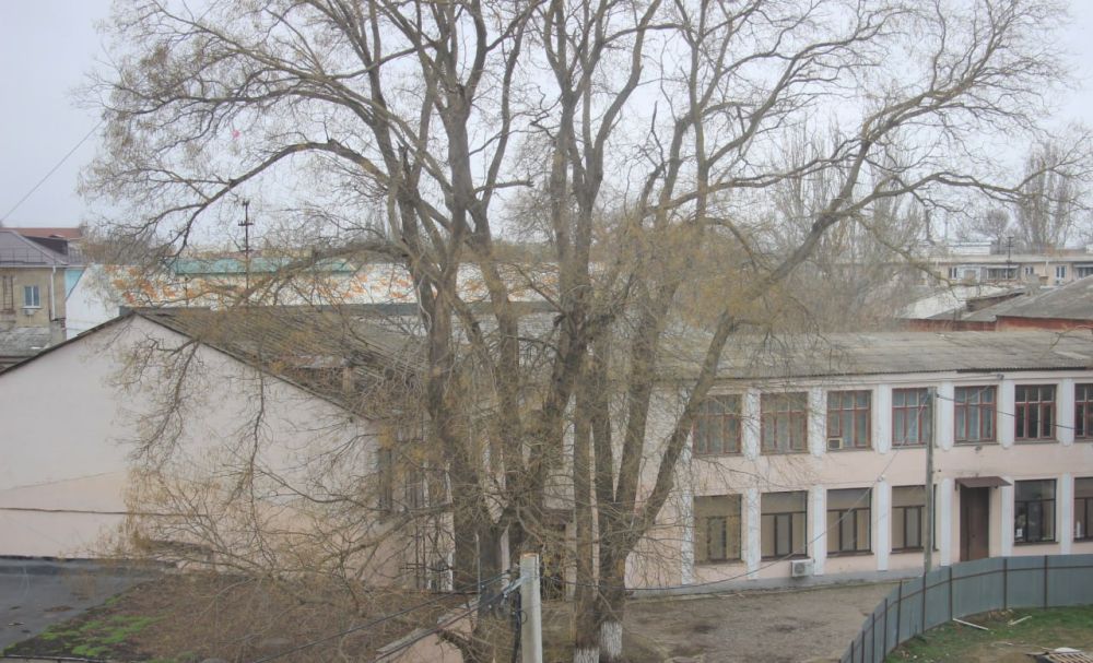 #городские_новости. #дети_и_образование #городские_новости. #дети_и_образование