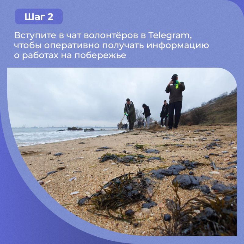 Последствия разлива мазута в Чёрном море ликвидируются силами не только представителей чрезвычайных служб и специалистов, но и сотен волонтёров Последствия разлива мазута в Чёрном море ликвидируются силами не только представителей чрезвычайных служб и специалистов, но и сотен волонтёров