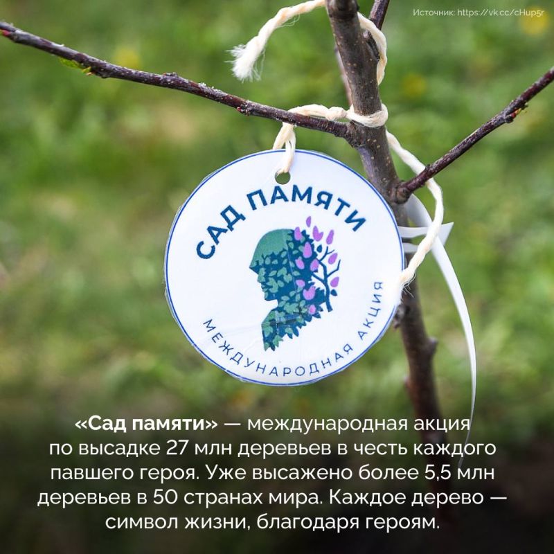 На заседании оргкомитета «Победа» Президент Владимир Путин подчеркнул значимость Всероссийских акций, направленных на сохранение исторической памяти и патриотическое воспитание На заседании оргкомитета «Победа» Президент Владимир Путин подчеркнул значимость Всероссийских акций, направленных на сохранение исторической памяти и патриотическое воспитание