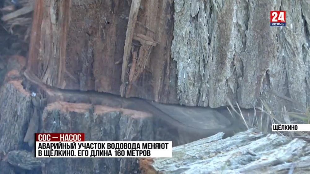 ���� �����: ������������ �������� ������� � �������