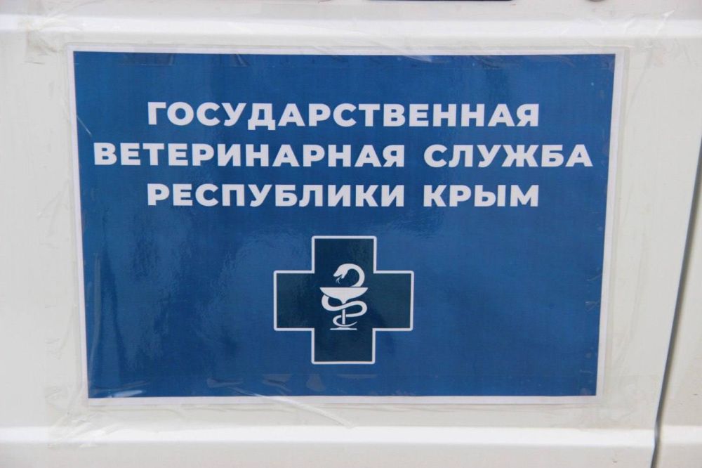 Отвезли в Штаб Феодосии по помощи птицам, пострадавшим в результате разлива мазута в Керченском проливе, лекарства для пернатых Отвезли в Штаб Феодосии по помощи птицам, пострадавшим в результате разлива мазута в Керченском проливе, лекарства для пернатых
