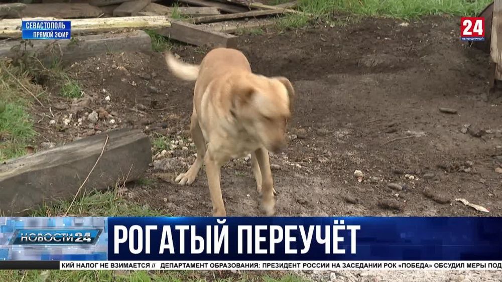 �������� �������������������� �������� ��������� � �����������