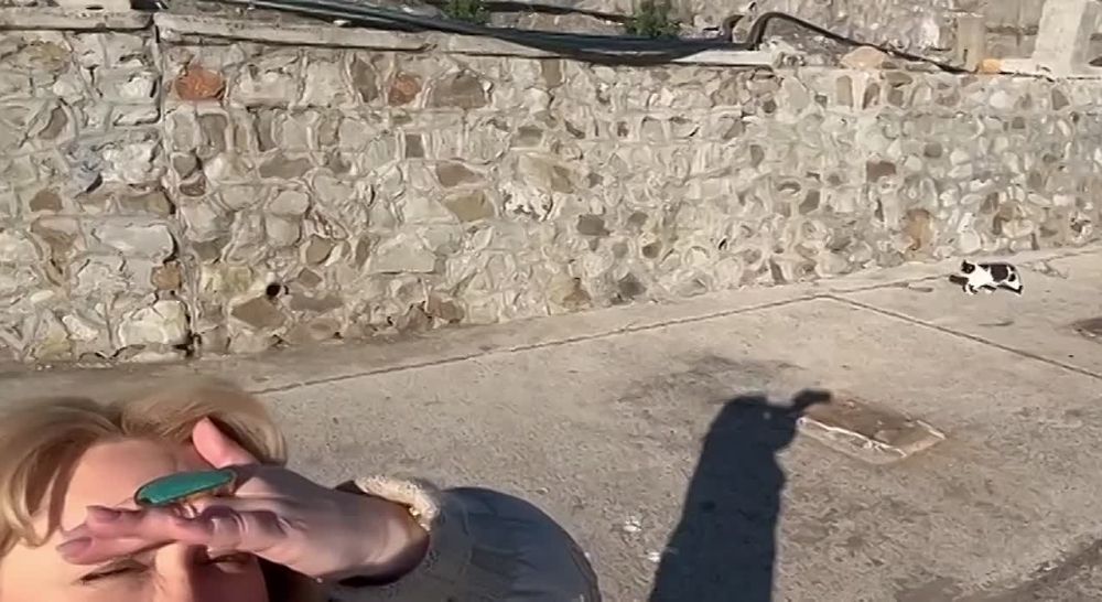 ����� ��������: ���� �� ����� ���������� ������ ������, ������������� ��������, � �������� ������ ������������ ��������� ��� �����