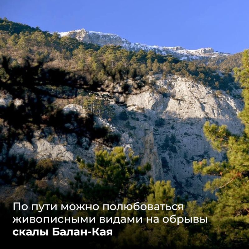 Ущелье Уч-Кош в Ялтинском горно-лесном заповеднике одно из самых живописных мест на полуострове Ущелье Уч-Кош в Ялтинском горно-лесном заповеднике одно из самых живописных мест на полуострове