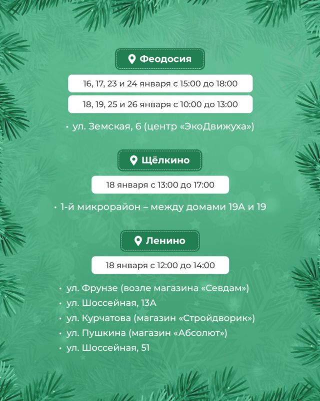 Успейте сдать новогоднее дерево на переработку Успейте сдать новогоднее дерево на переработку
