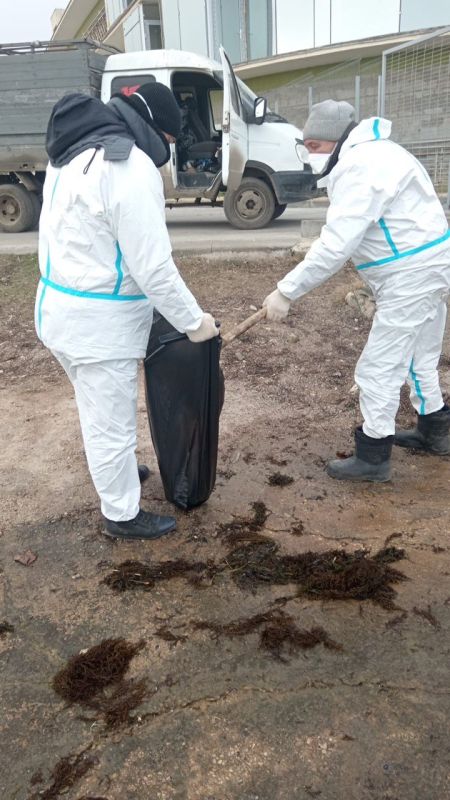 Мониторинговые группы продолжают работу по выявлению и уборке мест загрязнения нефтепродуктами в Керчи Мониторинговые группы продолжают работу по выявлению и уборке мест загрязнения нефтепродуктами в Керчи