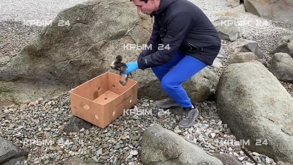 ����������� ������� ����� ������ ���������� ����� 24� � ������