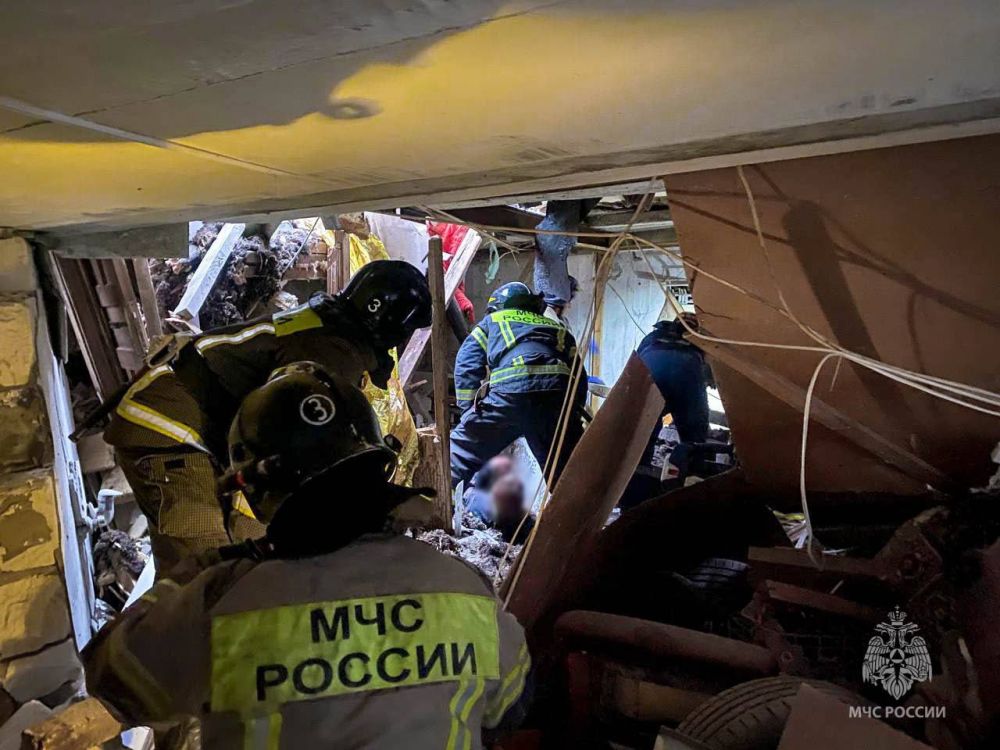 Человека и кошку из-под завала спасли сотрудники МЧС России по Севастополю Человека и кошку из-под завала спасли сотрудники МЧС России по Севастополю