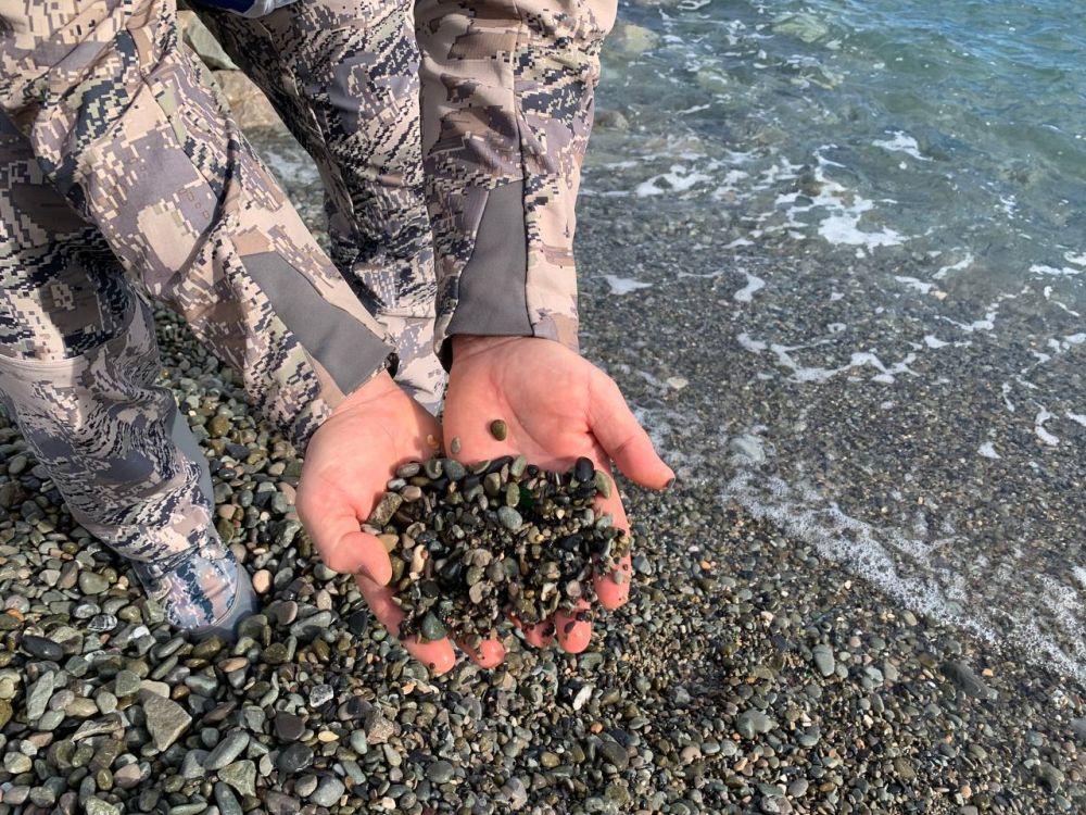 �������������� ������ ��������� �������� ���������