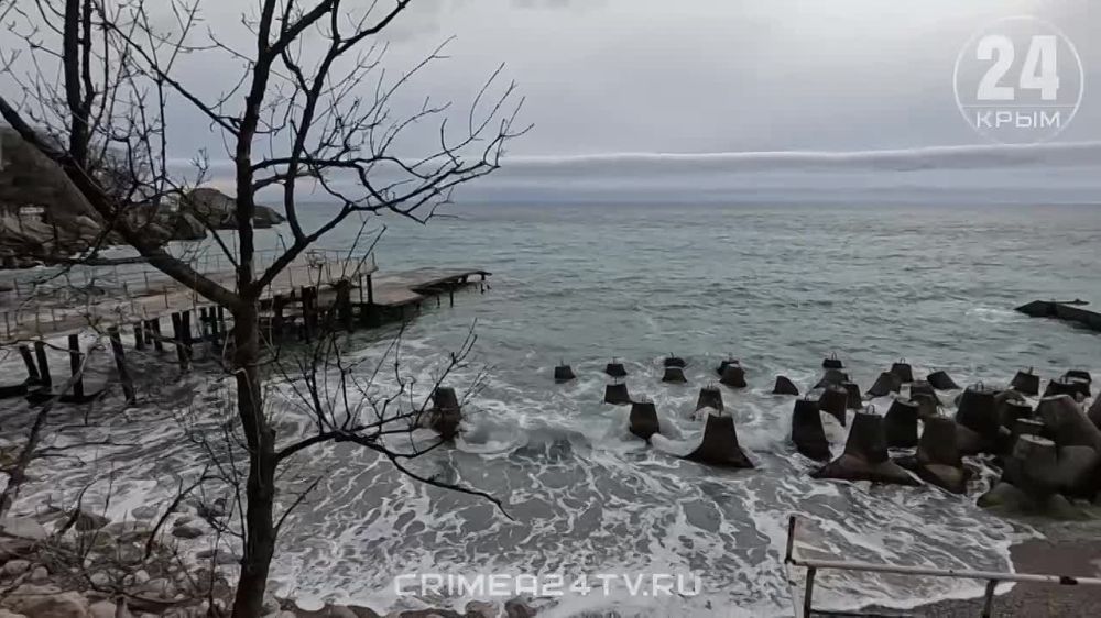 � ������ ������������ ���������� ����