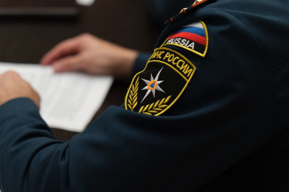 Янина Павленко: Заранее готовимся к летнему пожароопасному периоду Янина Павленко: Заранее готовимся к летнему пожароопасному периоду