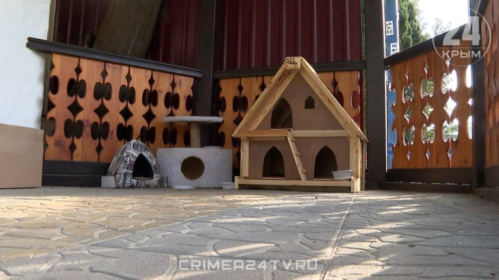 ��� ��������� ��������� ������������ ����������� ���������� ����������� ������