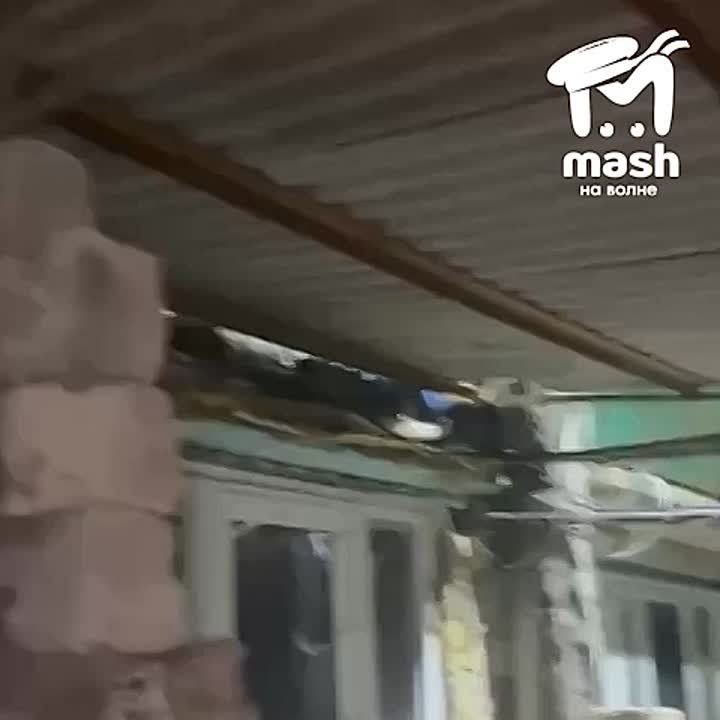 Можно бесконечно смотреть на огонь, воду и енотов на керченских деревьях