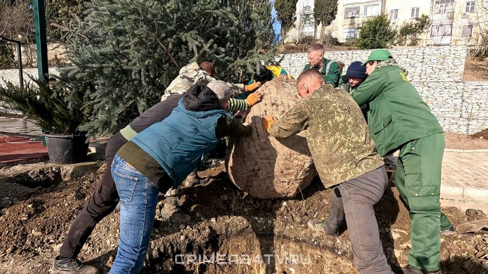 В Ялте проводят масштабное озеленение сквера на улице Сеченова В Ялте проводят масштабное озеленение сквера на улице Сеченова