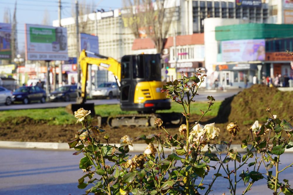В Керчи стартовали работы по озеленению транспортных колец автовокзала и перекрестка ул. Чкалова В Керчи стартовали работы по озеленению транспортных колец автовокзала и перекрестка ул. Чкалова