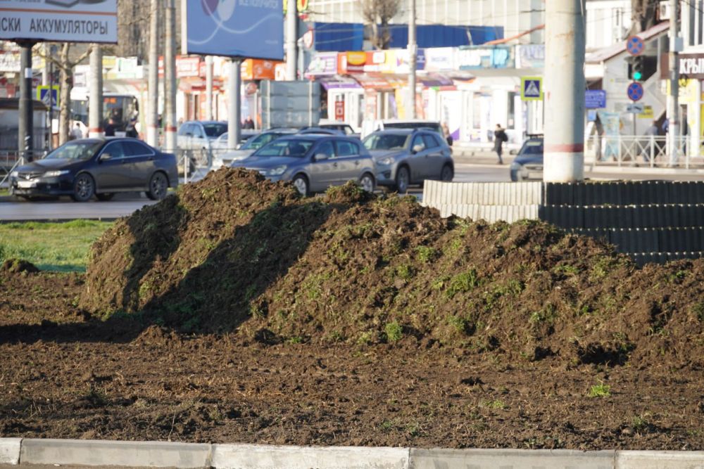 В Керчи стартовали работы по озеленению транспортных колец автовокзала и перекрестка ул. Чкалова В Керчи стартовали работы по озеленению транспортных колец автовокзала и перекрестка ул. Чкалова