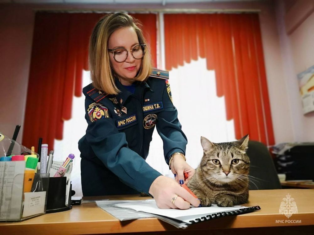 Скоро кот Толя будет в форме Скоро кот Толя будет в форме