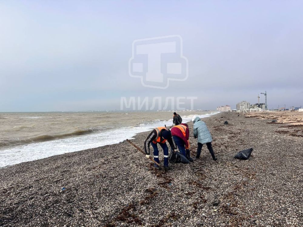 Почти 525 километров крымского побережья от Керчи до поселка Портовое Раздольненского района обследовано за сутки в поисках выбросов мазута