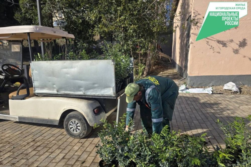 В Ялте стартовало озеленение общественной территории на улице Сеченова В Ялте стартовало озеленение общественной территории на улице Сеченова