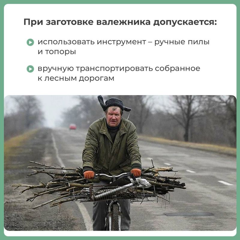 Валежник включён в перечень недревесных лесных ресурсов и его можно собирать в любом количестве для собственных нужд Валежник включён в перечень недревесных лесных ресурсов и его можно собирать в любом количестве для собственных нужд