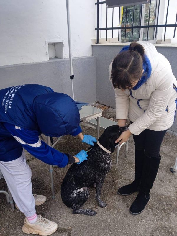 ��� ����� ������ ������� �����