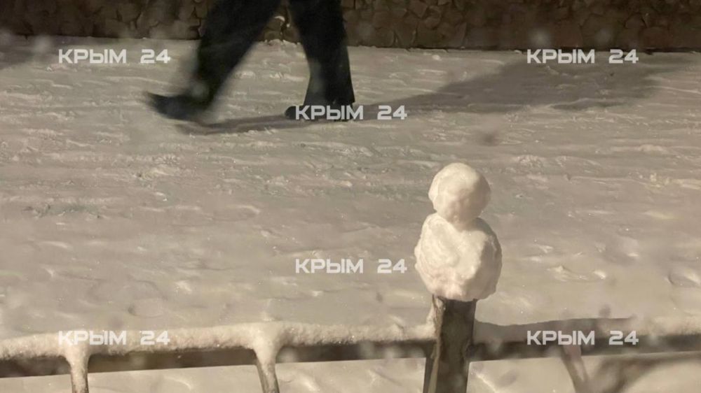 Симферопольцы так долго ждали зиму, что слепили сразу несколько десятков снеговиков Симферопольцы так долго ждали зиму, что слепили сразу несколько десятков снеговиков