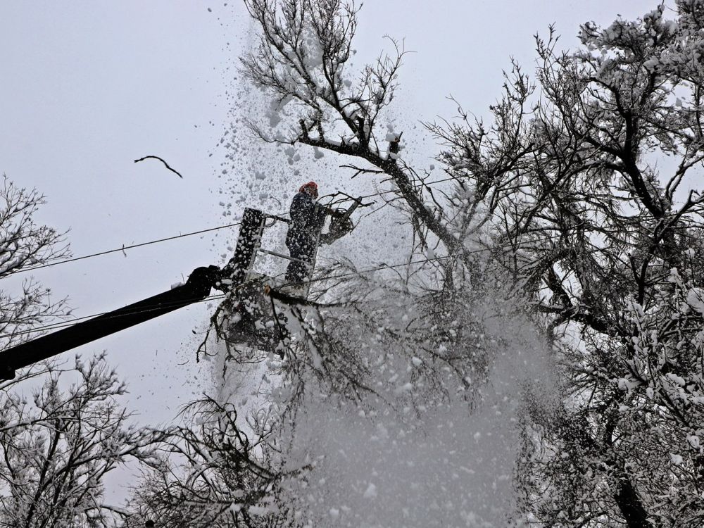 ������� ����� ��������� 11 ��� ���������� ������