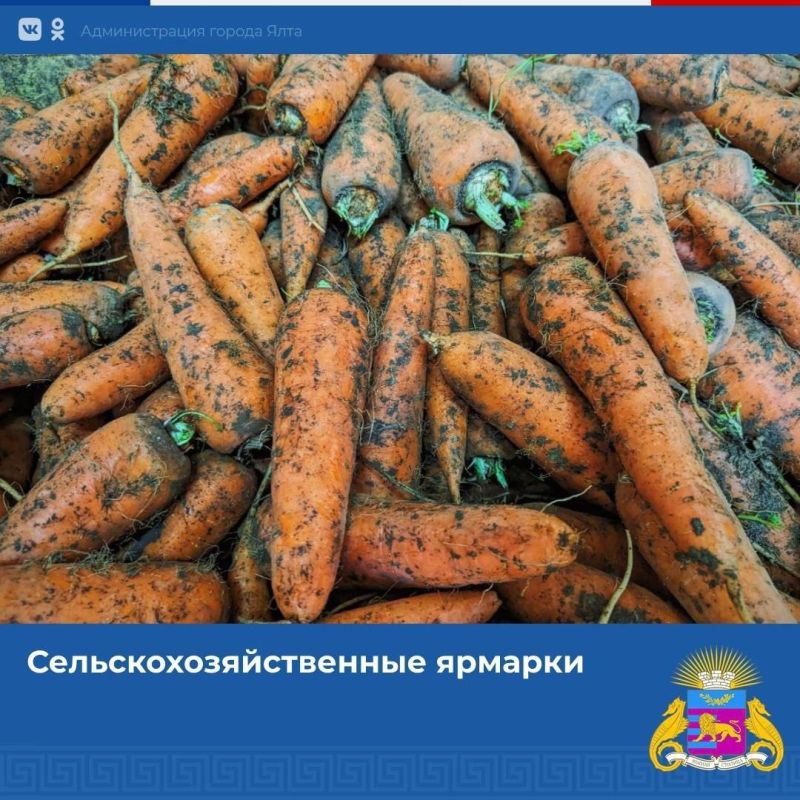 � ����, ������ � �������� ��������� ��������������