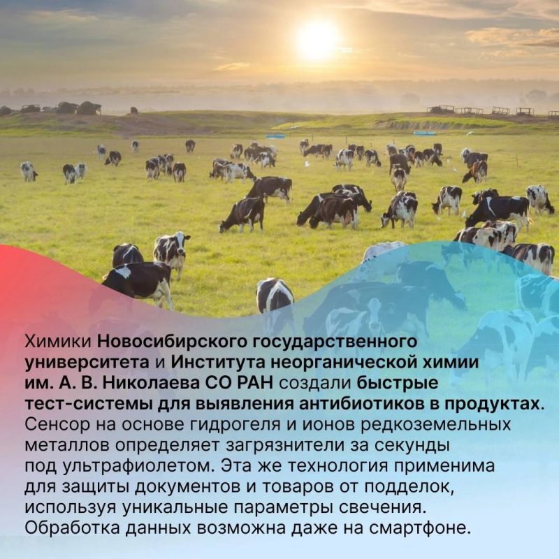 Разработки российских ученых за 2024 год в честь Дня российской науки Разработки российских ученых за 2024 год в честь Дня российской науки
