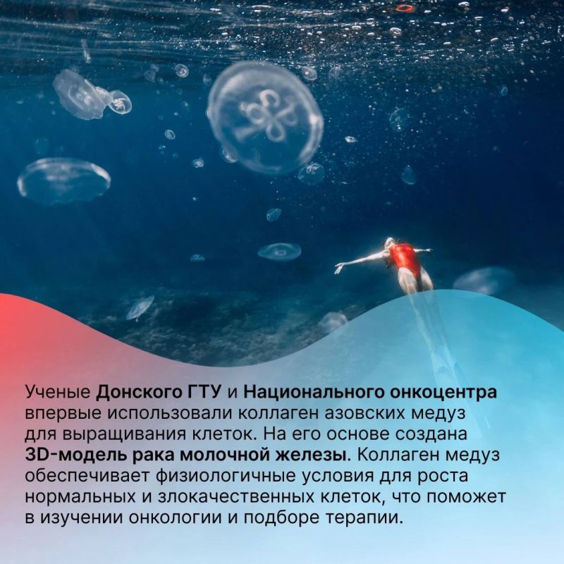 Разработки российских ученых за 2024 год в честь Дня российской науки Разработки российских ученых за 2024 год в честь Дня российской науки