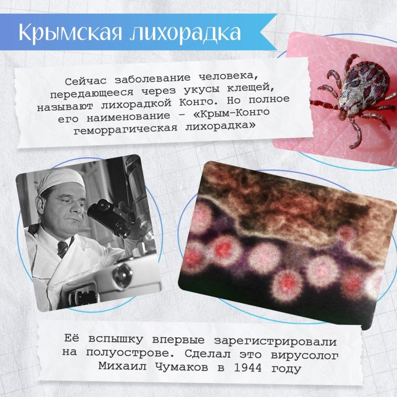 Крым вдохновлял не только художников, писателей и поэтов, но и учёных Крым вдохновлял не только художников, писателей и поэтов, но и учёных
