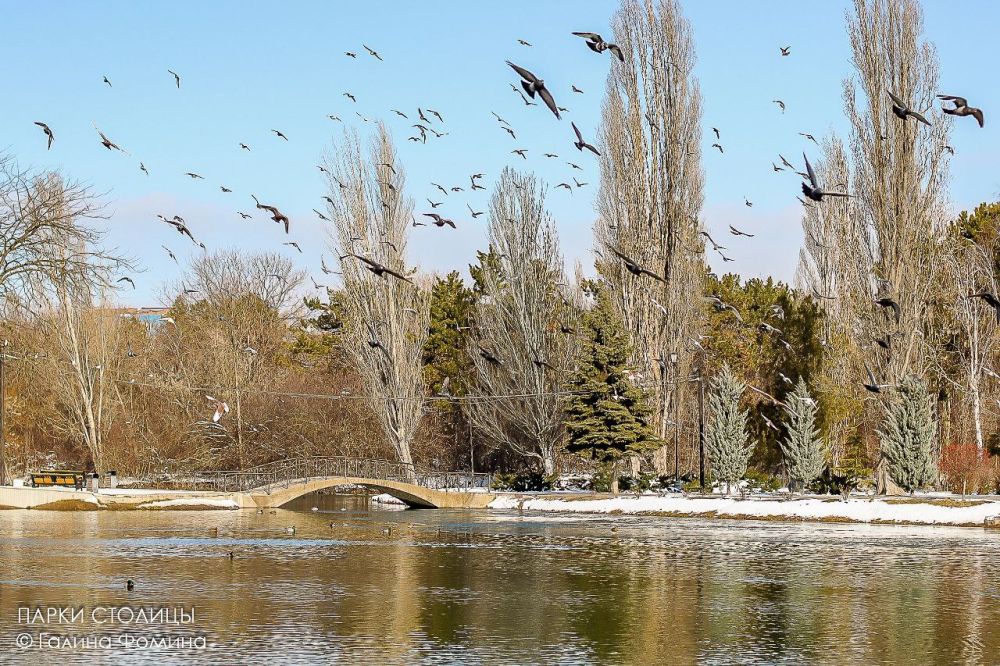 Парк Гагарина в зимнем убранстве особенно красив Парк Гагарина в зимнем убранстве особенно красив