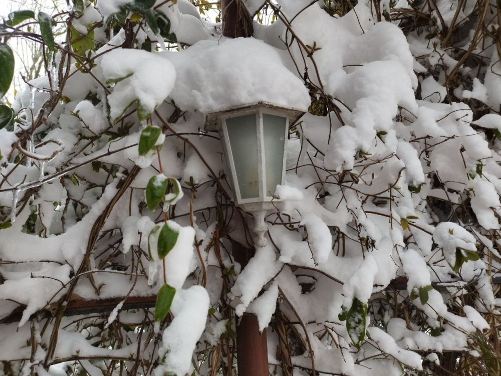 «Зима продолжается»: в Крыму на этой неделе ожидаются морозы