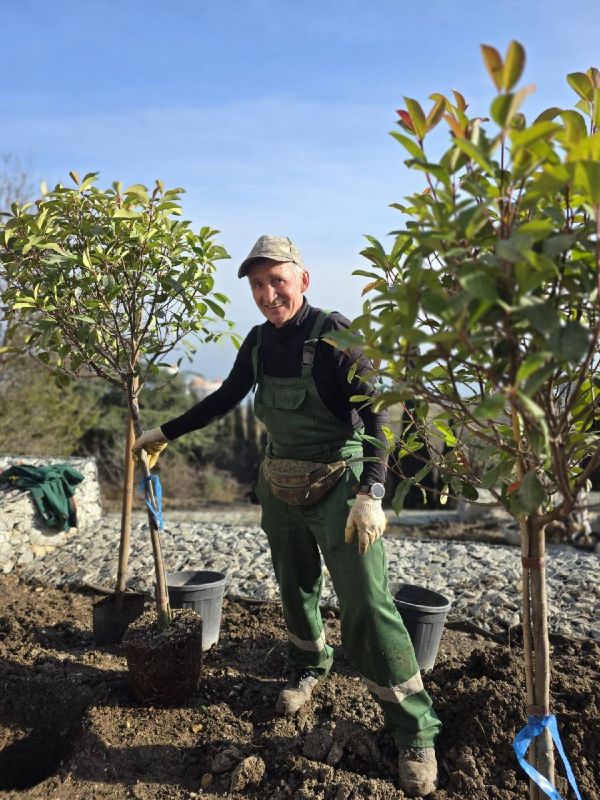 ��������� ����������� ������� � ������ �����������