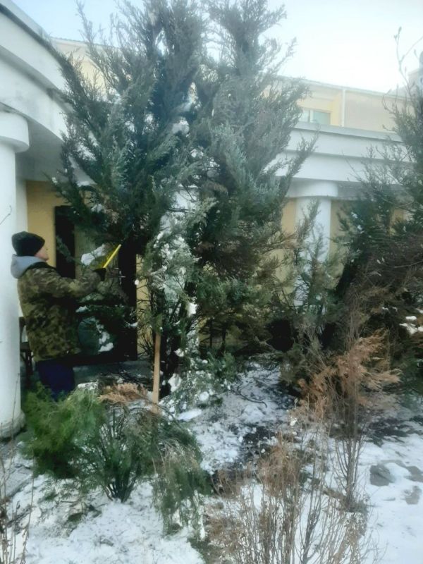 В парках и скверах Симферополя продолжается устранение последствий снегопада В парках и скверах Симферополя продолжается устранение последствий снегопада