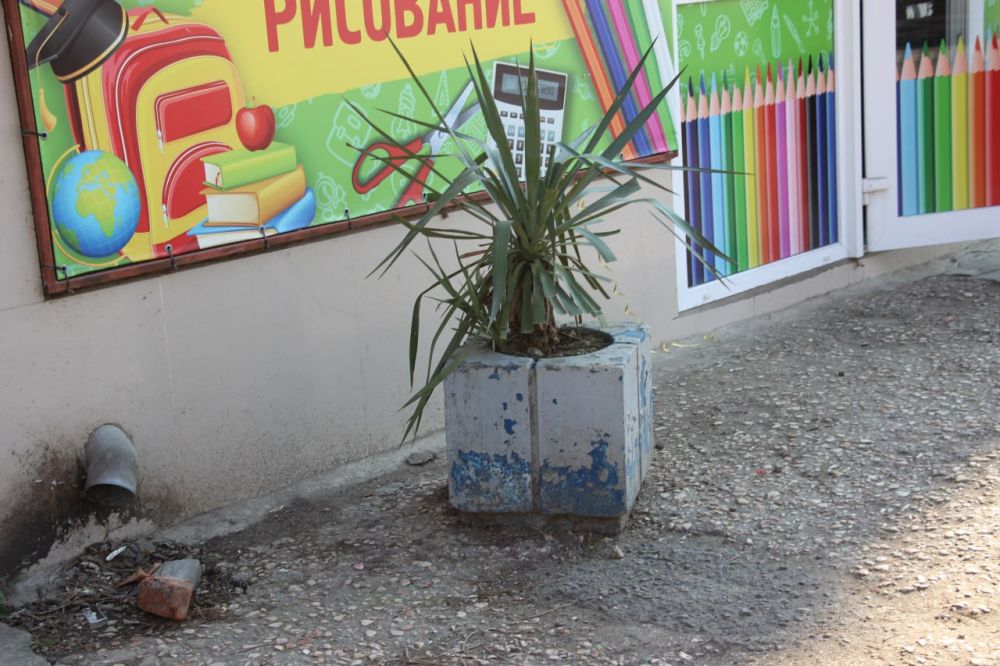 #городские_новости. Мониторинг соблюдения правил благоустройства керченскими предпринимателями регулярно проводят сотрудники департамента городского развития. В ходе очередной проверки на ул. Сморжевского, участие в которой... #городские_новости. Мониторинг соблюдения правил благоустройства керченскими предпринимателями регулярно проводят сотрудники департамента городского развития. В ходе очередной проверки на ул. Сморжевского, участие в которой...