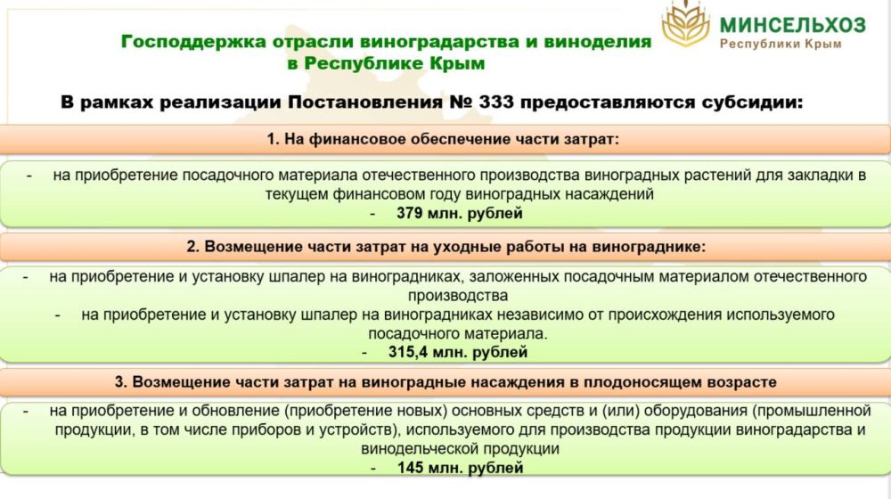165 хозяйств Крыма занимаются виноградарством 165 хозяйств Крыма занимаются виноградарством