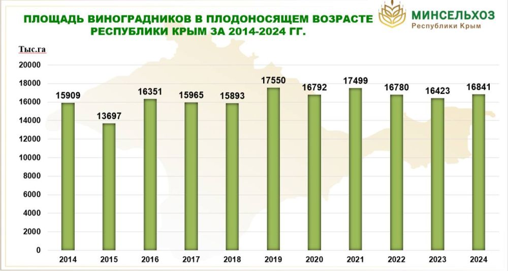 В ходе своего доклада рассказал о состоянии отрасли виноградарства и виноделия Республики Крым В ходе своего доклада рассказал о состоянии отрасли виноградарства и виноделия Республики Крым