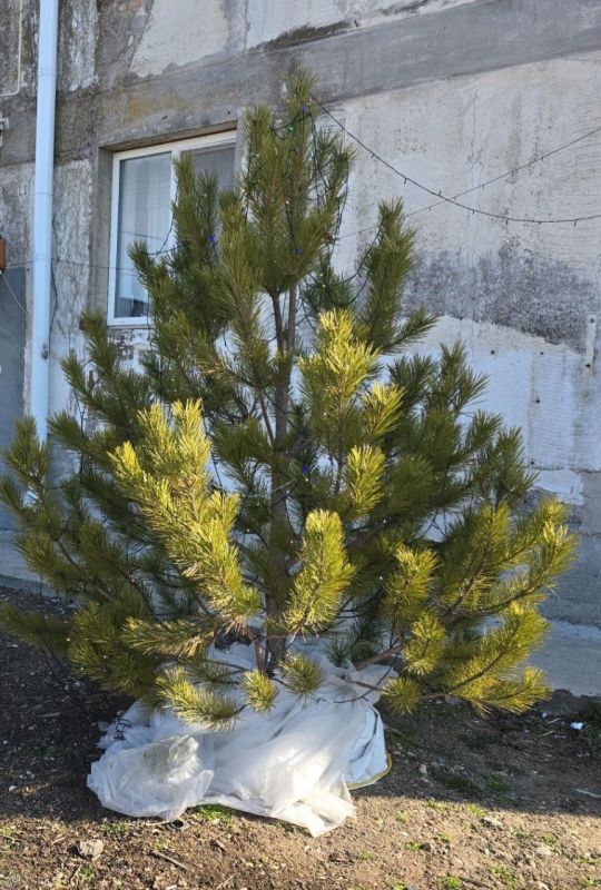 Анна Анюхина: Изнанка городов. Продолжая мониторинг санитарного состояния Бахчисарайского района, на этой неделе осмотрели территории Красного мака, Холмовки, Соколиного и Голубинки Анна Анюхина: Изнанка городов. Продолжая мониторинг санитарного состояния Бахчисарайского района, на этой неделе осмотрели территории Красного мака, Холмовки, Соколиного и Голубинки
