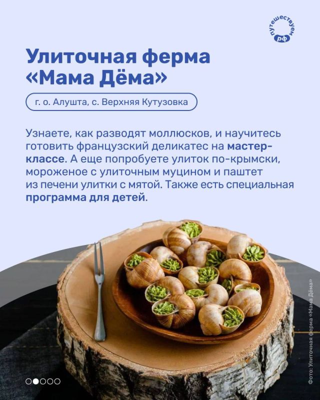 В Крыму молоко счастливых коров, пасущихся на склонах Ай-Петри, превращается в сыр, виноградные косточки — в масло, а муцин улитки — в мороженое В Крыму молоко счастливых коров, пасущихся на склонах Ай-Петри, превращается в сыр, виноградные косточки — в масло, а муцин улитки — в мороженое