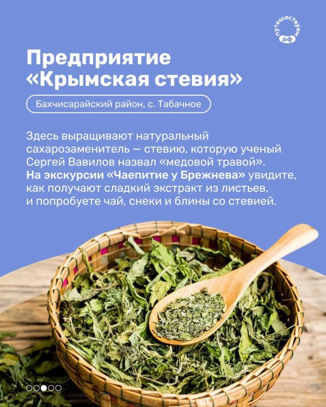 В Крыму молоко счастливых коров, пасущихся на склонах Ай-Петри, превращается в сыр, виноградные косточки — в масло, а муцин улитки — в мороженое В Крыму молоко счастливых коров, пасущихся на склонах Ай-Петри, превращается в сыр, виноградные косточки — в масло, а муцин улитки — в мороженое