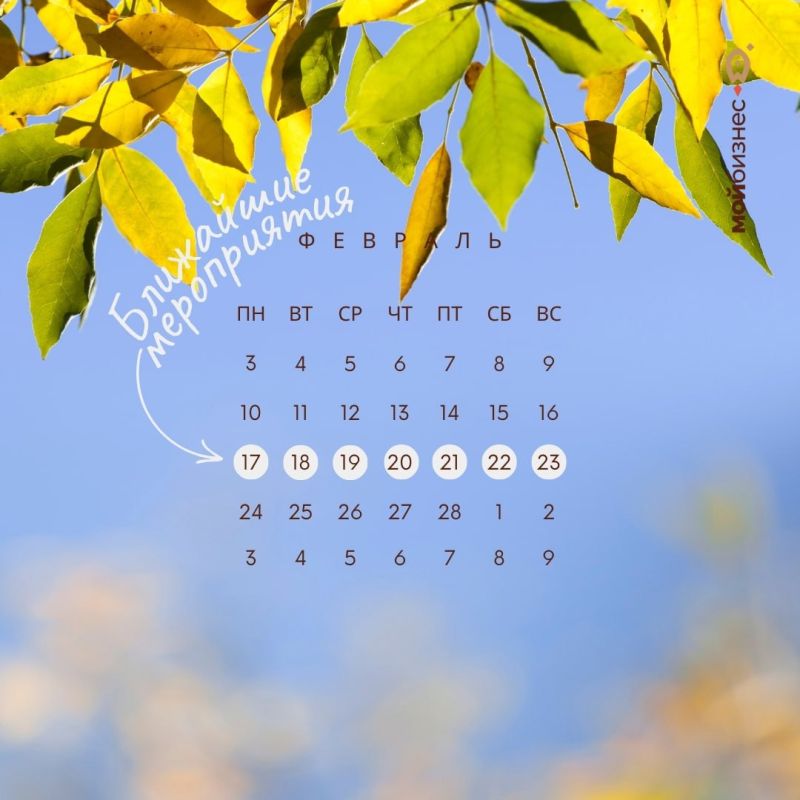 ��������� �����������: 17 � 23 �������