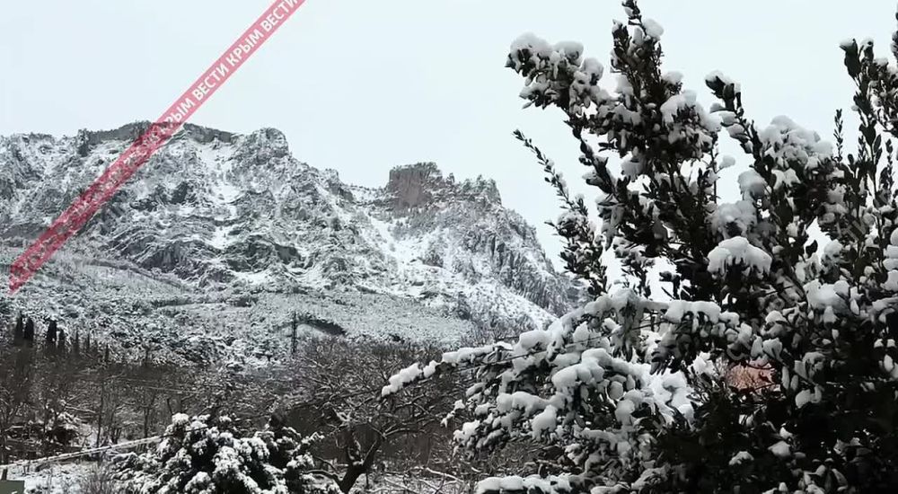 ������ ������ �� ����� ������ �����