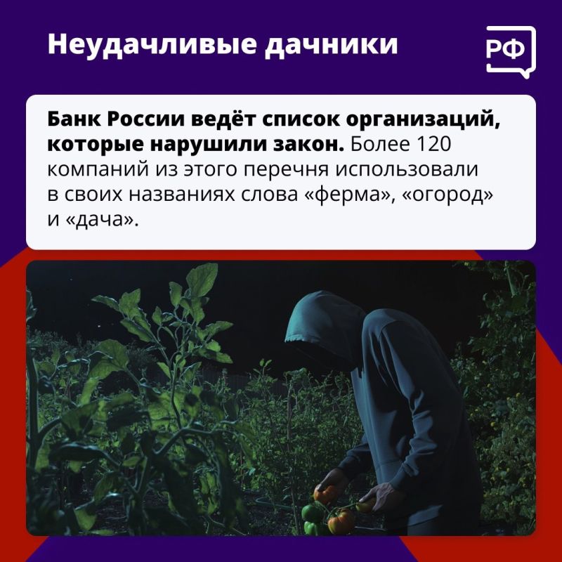 Как распознать финансовую пирамиду и не стать ее жертвой ? Как распознать финансовую пирамиду и не стать ее жертвой ?