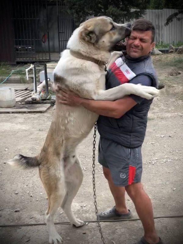 Этот пост заряжен на позитив и отличное настроение Этот пост заряжен на позитив и отличное настроение