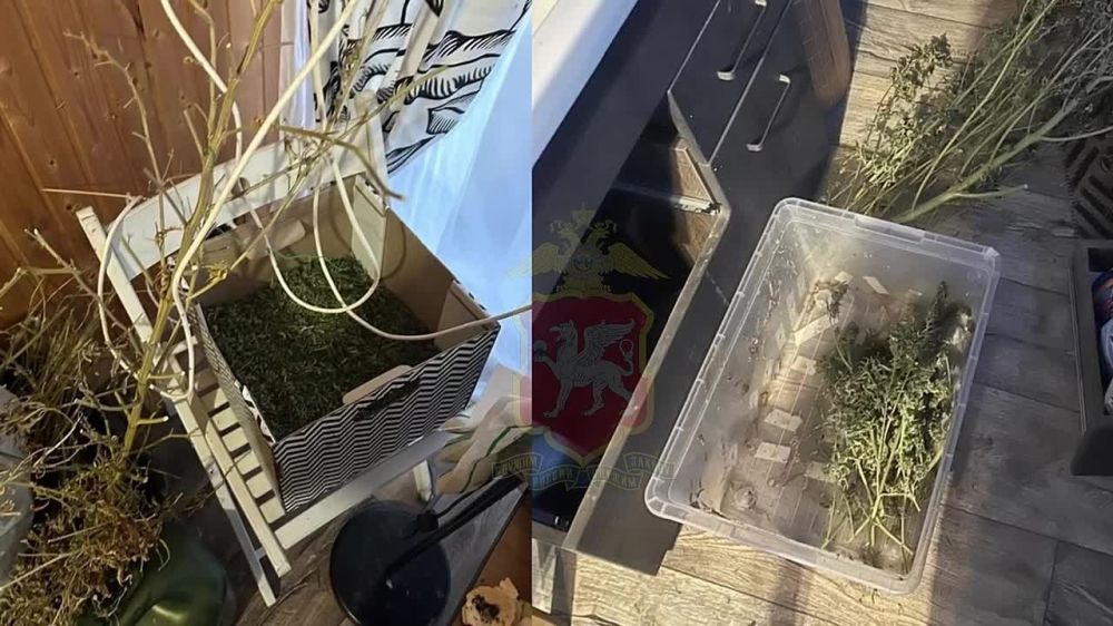 � ��������� ������ ����������� ������ ����� ��� �������� ������ ��������������� ��������, � ����� ������� � ������������ ���������